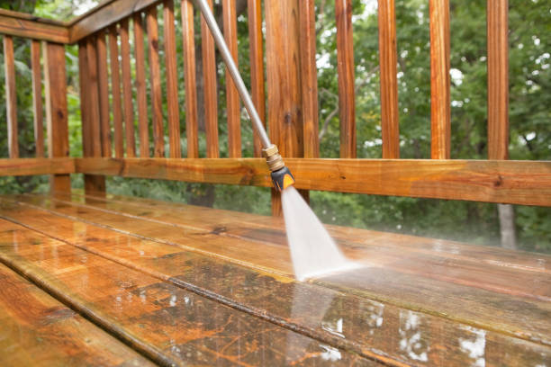 Animal Enclosure Cleaning in Torrington, WY